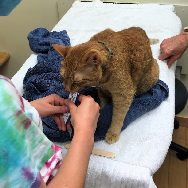 Community Connections Customized Care